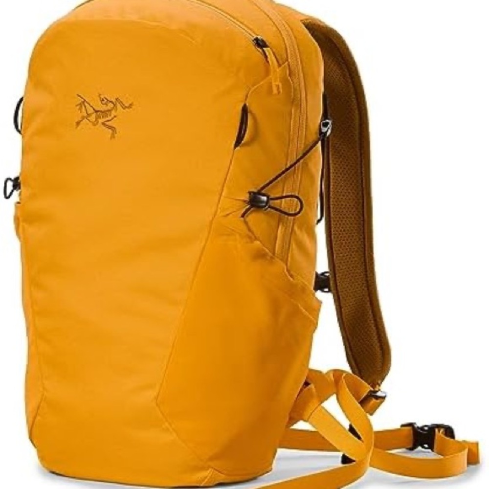 Arc'teryx Mantis 16 Backpack Edziza